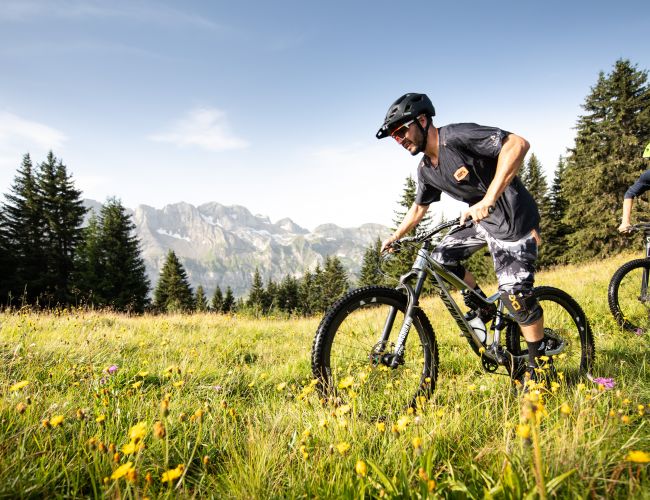 Activités d'été Activités d'été